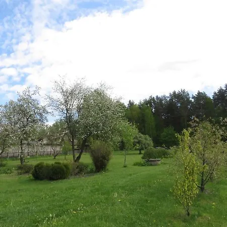 Cozy Near The Airport Daire Riga