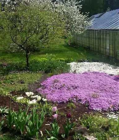 Cozy Near The Airport