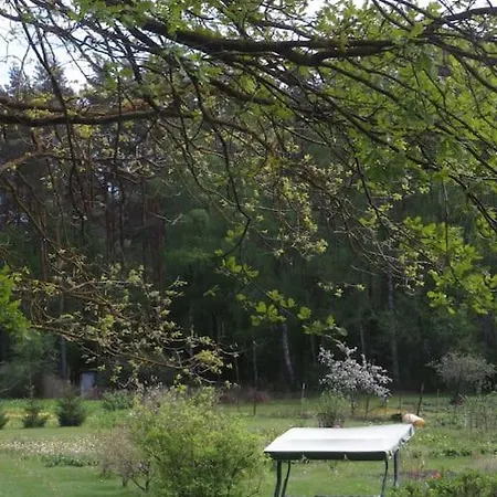 Cozy Near The Airport Daire *